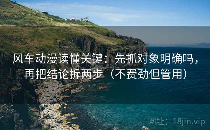 风车动漫读懂关键：先抓对象明确吗，再把结论拆两步（不费劲但管用）
