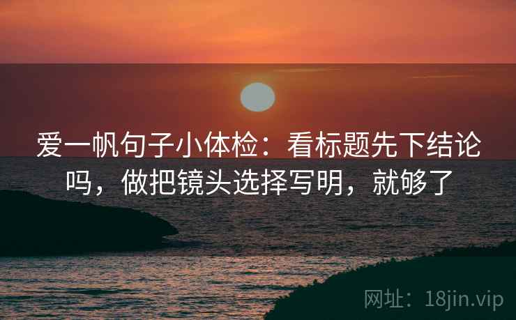 爱一帆句子小体检：看标题先下结论吗，做把镜头选择写明，就够了